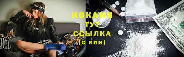 тгк Алзамай