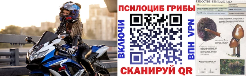 сколько стоит  Тимашёвск  Галлюциногенные грибы MAGIC MUSHROOMS 